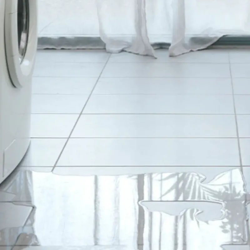 Appliance Leak Cleanup in Richland, MO