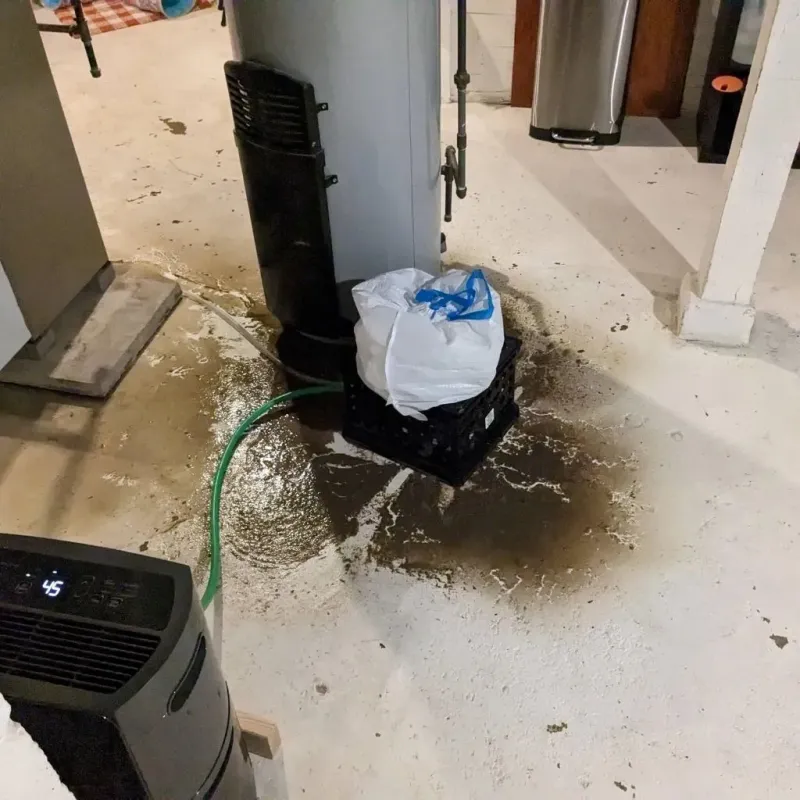 Sewage Backup Cleanup Service in Richland, MO